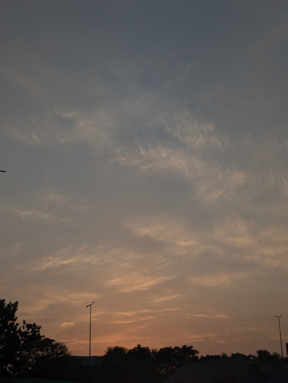 Sunset sky with soft orange and blue clouds above silhouetted trees and streetlights, creating a calm evening atmosphere