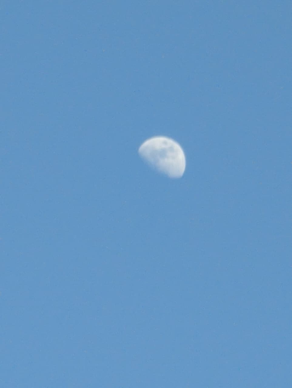 Waxing moon visible in a clear blue daytime sky, creating a calm and peaceful atmosphere
